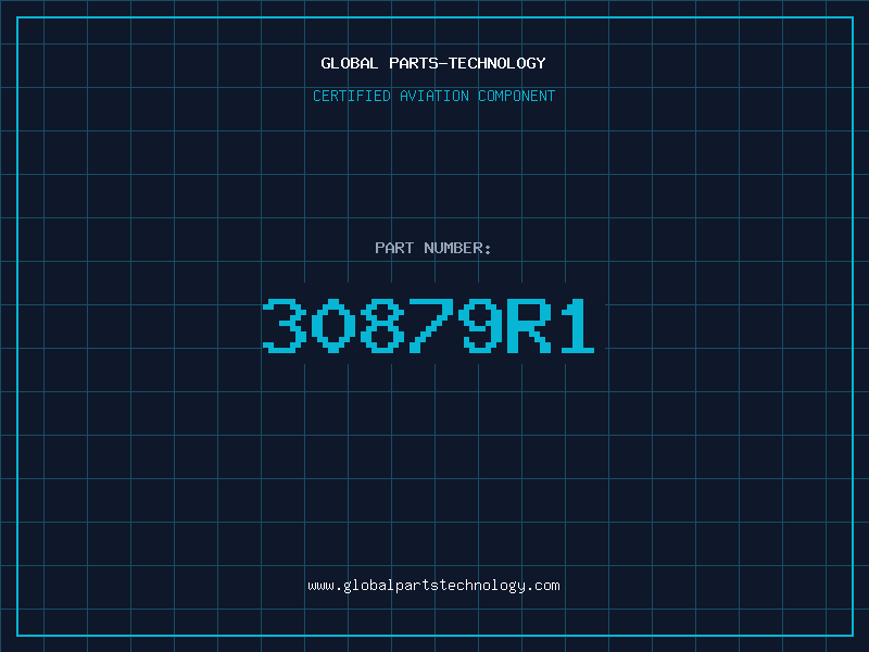 Aviation Part 30879R1