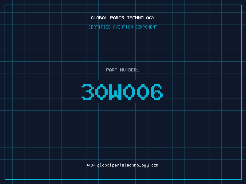 Aviation Part 30W006