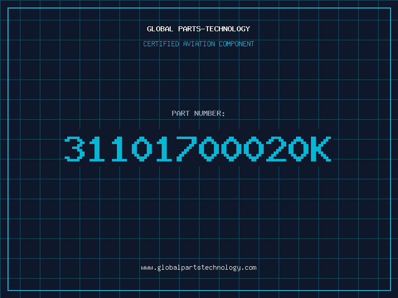 Aviation Part 31101700020K