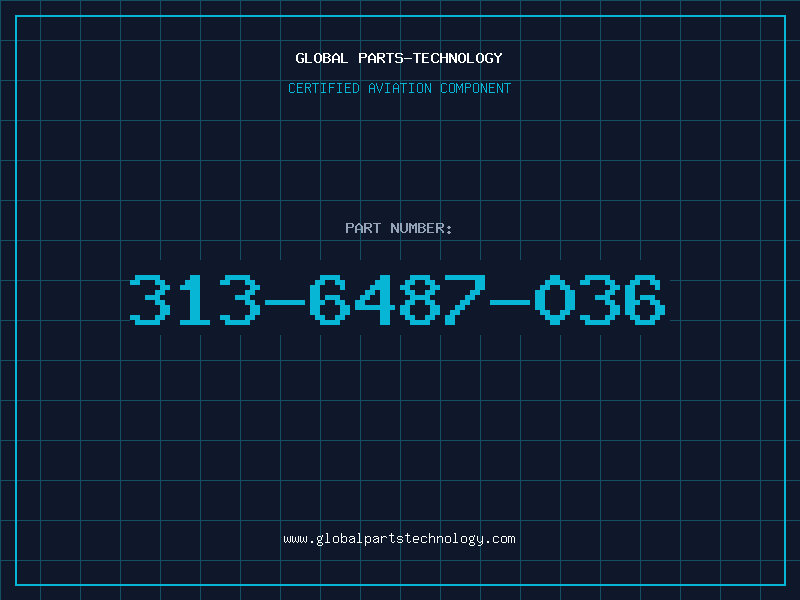 Aviation Part 313-6487-036
