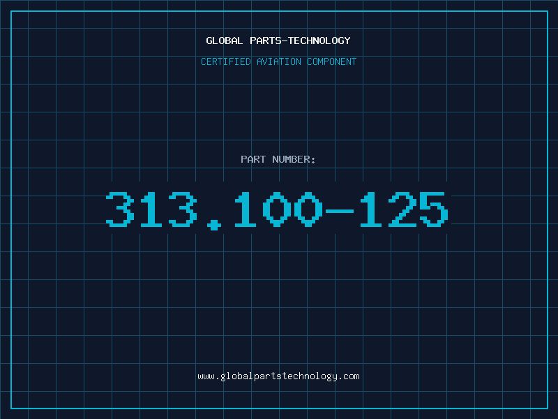 Aviation Part 313.100-125