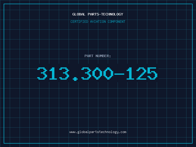 Aviation Part 313.300-125