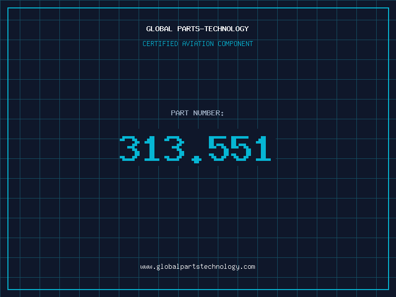 Aviation Part 313.551