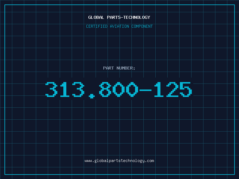 Aviation Part 313.800-125