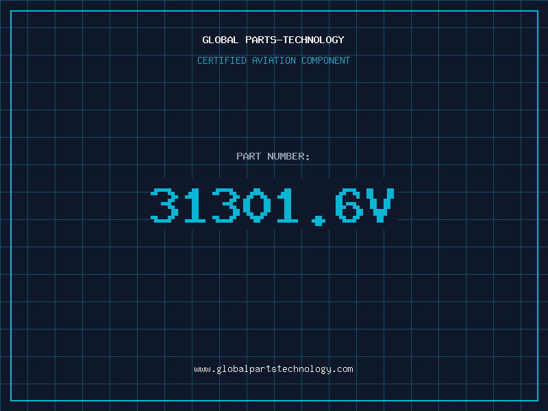 Aviation Part 31301.6V