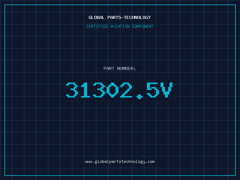 Aviation Part 31302.5V