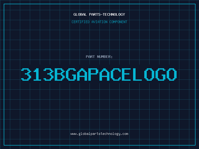 Aviation Part 313BGAPACELOGO