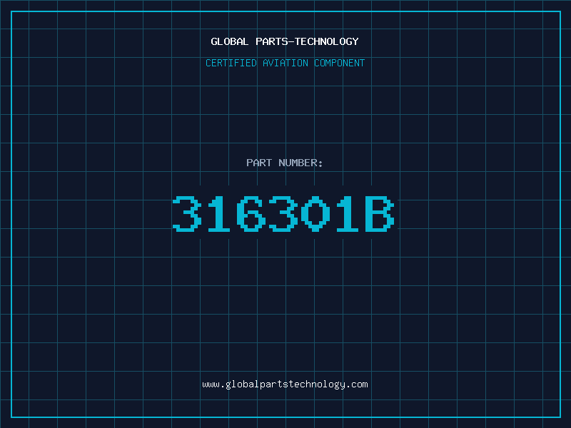 Aviation Part 316301B