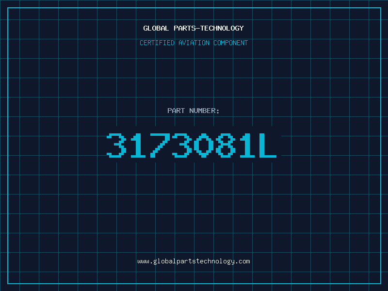 Aviation Part 3173081L