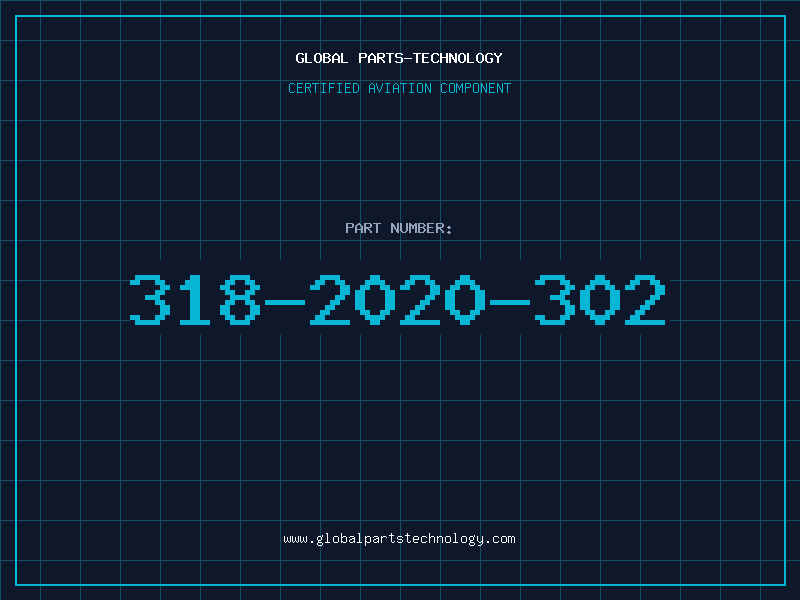 Aviation Part 318-2020-302