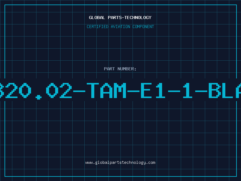 Aviation Part 320.02-TAM-E1-1-BLA