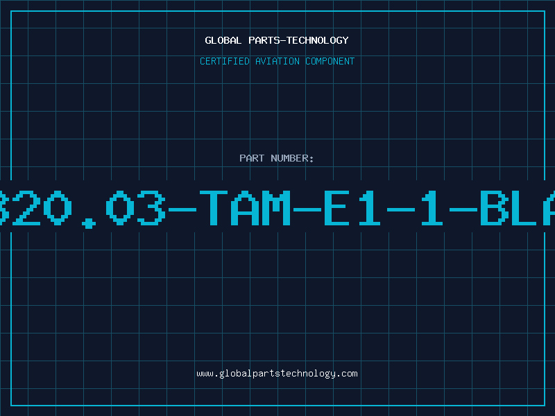 Aviation Part 320.03-TAM-E1-1-BLA