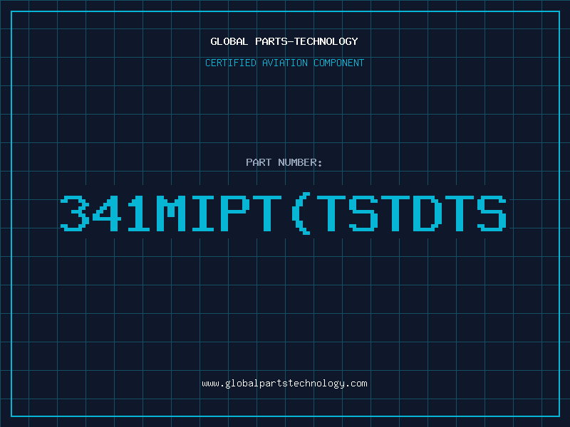 Aviation Part 341MIPT(TSTDTS