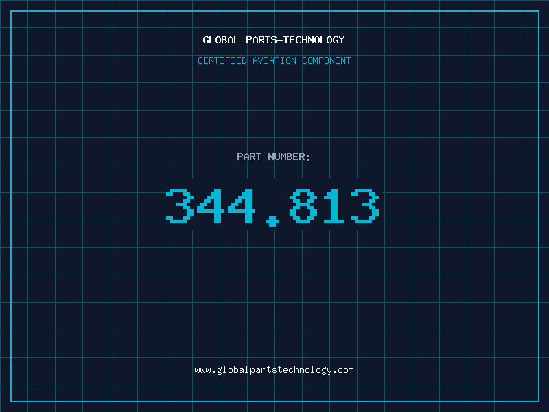 Aviation Part 344.813