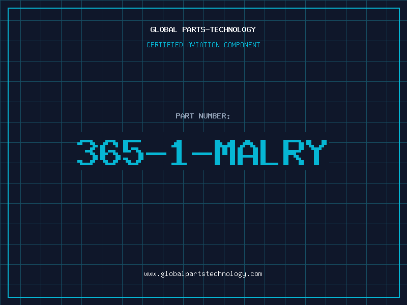 Aviation Part 365-1-MALRY