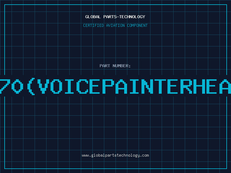 Aviation Part 370(VOICEPAINTERHEAD