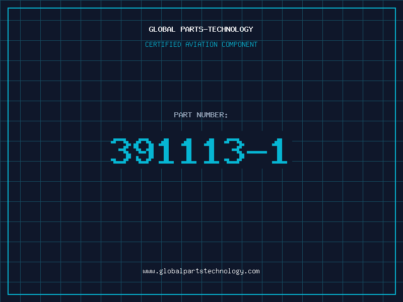 Aviation Part 391113-1