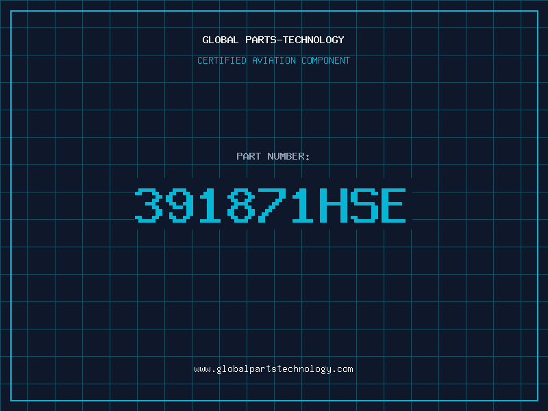 Aviation Part 391871HSE