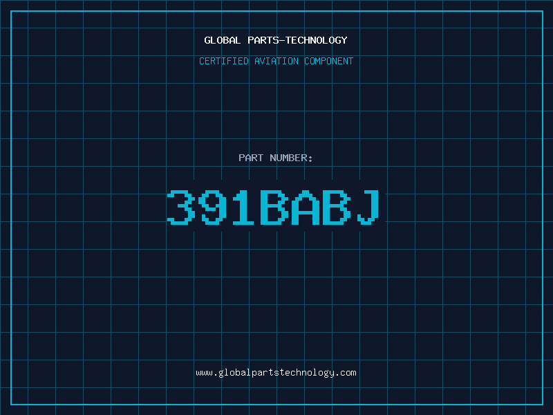 Aviation Part 391BABJ