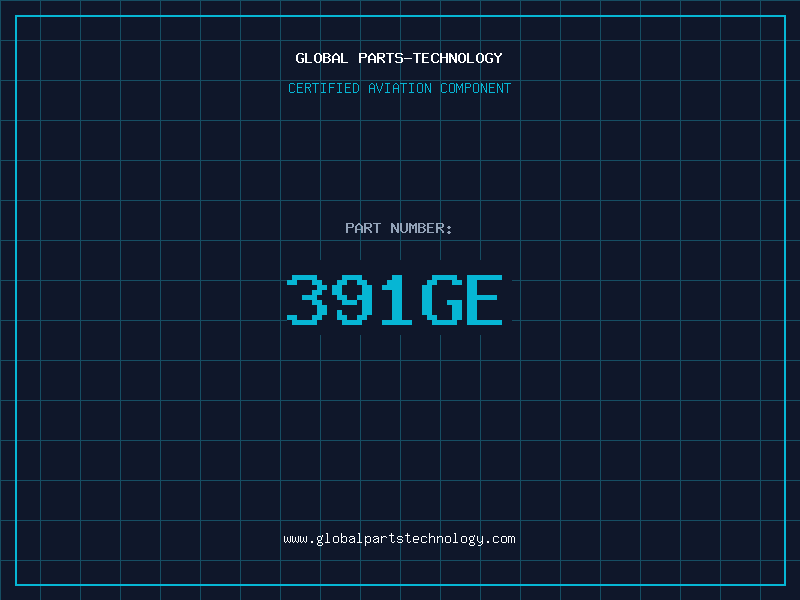 Aviation Part 391GE