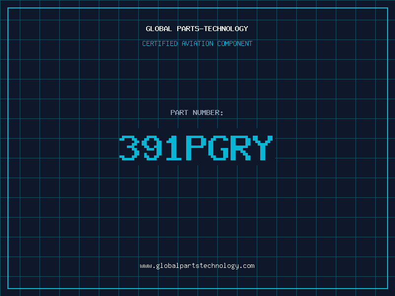 Aviation Part 391PGRY