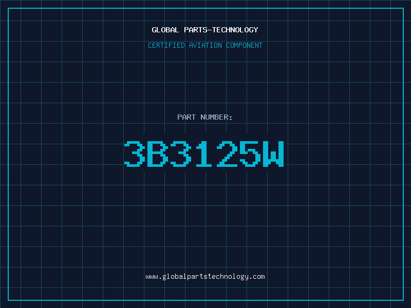 Aviation Part 3B3125W