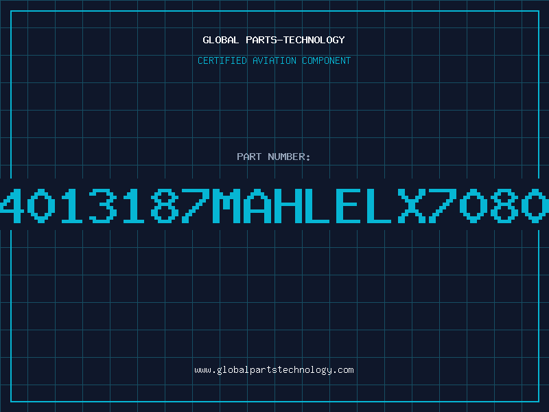 Aviation Part 4013187MAHLELX7080