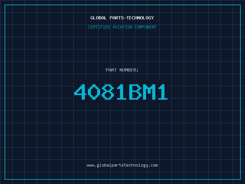 Aviation Part 4081BM1