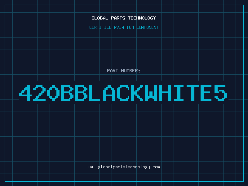 Aviation Part 420BBLACKWHITE5