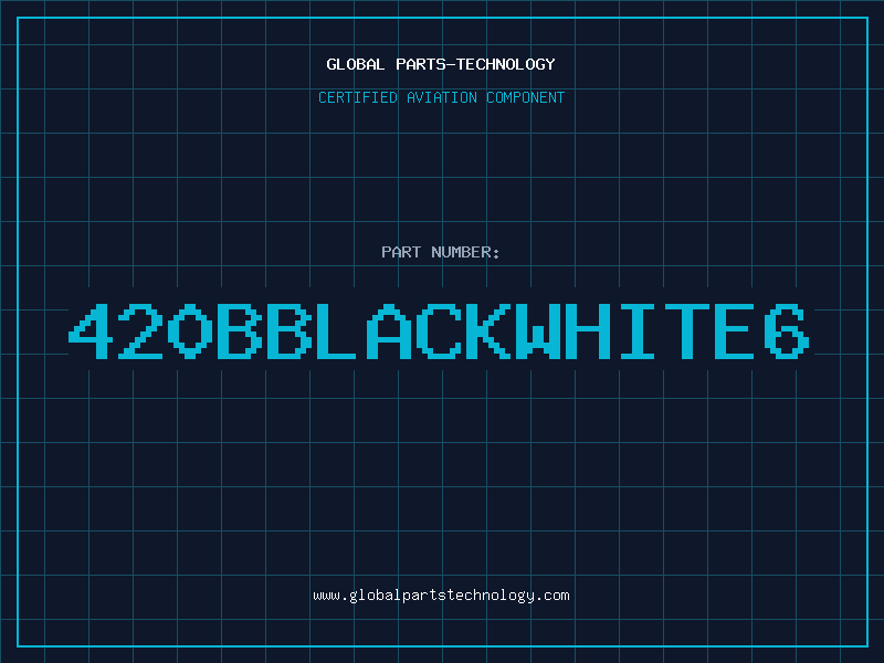 Aviation Part 420BBLACKWHITE6