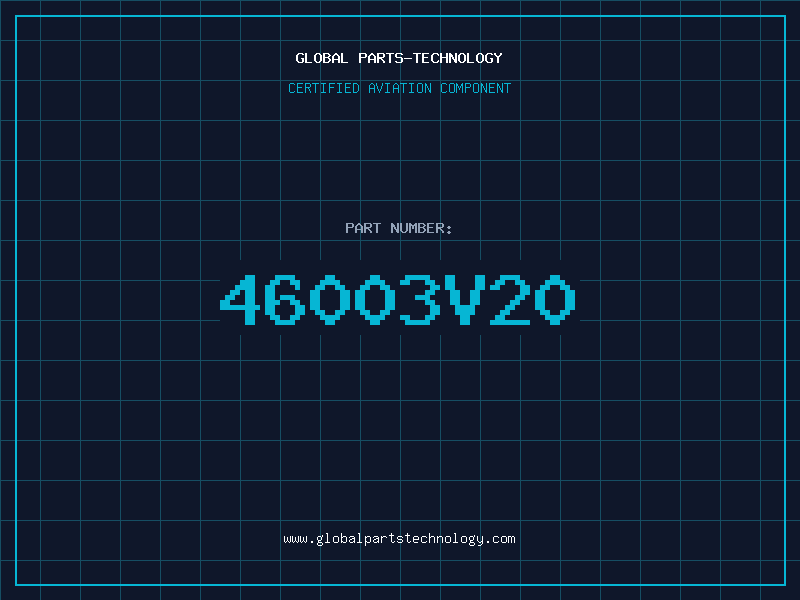 Aviation Part 46003V20