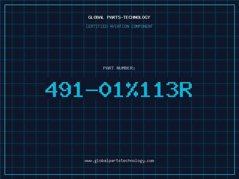 Aviation Part 491-01%113R