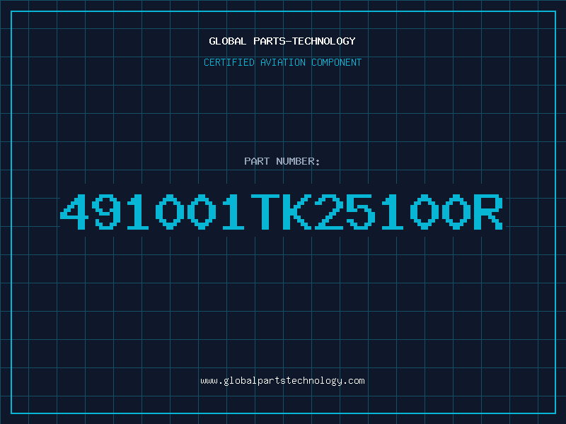 Aviation Part 491001TK25100R