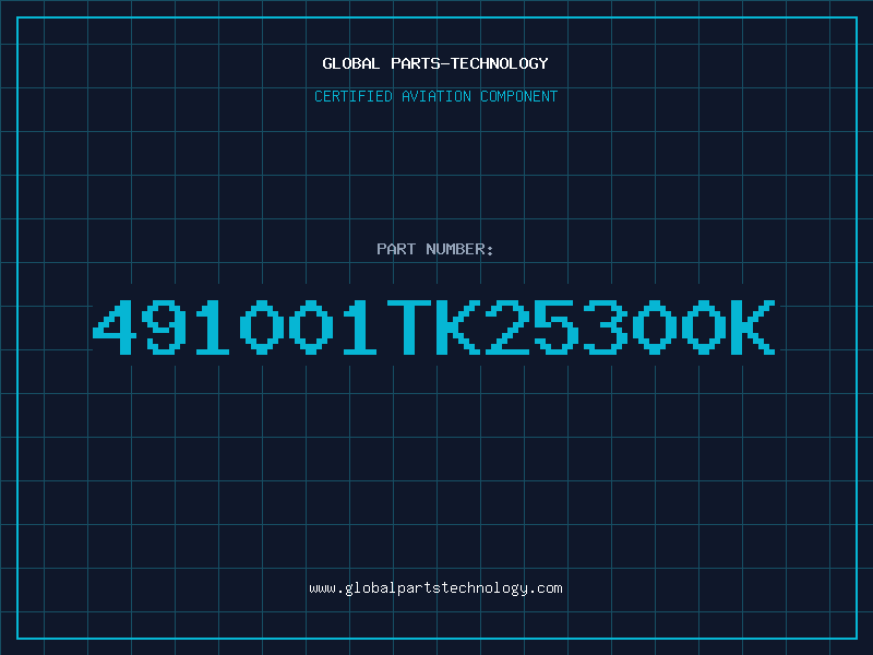 Aviation Part 491001TK25300K