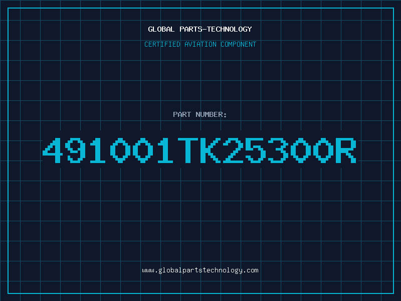 Aviation Part 491001TK25300R