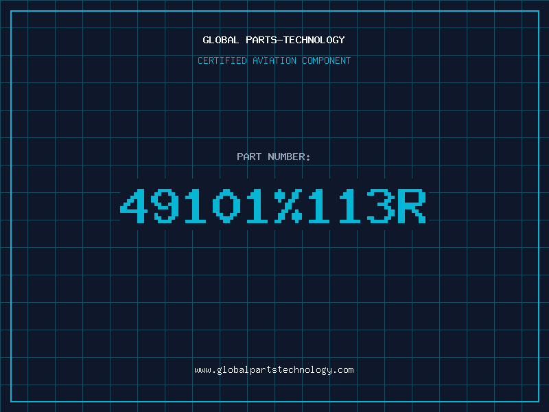 Aviation Part 49101%113R
