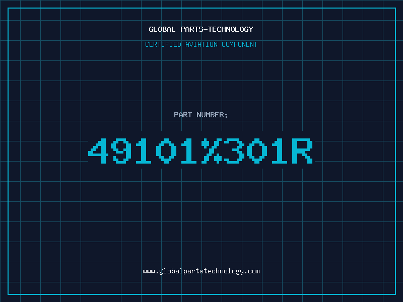 Aviation Part 49101%301R