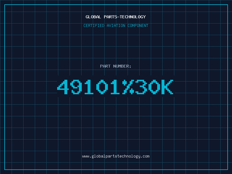 Aviation Part 49101%30K