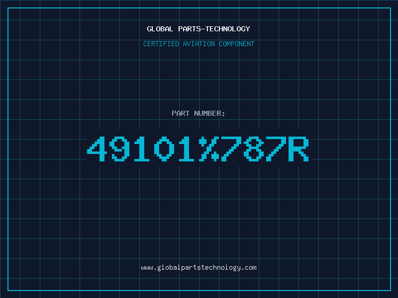 Aviation Part 49101%787R