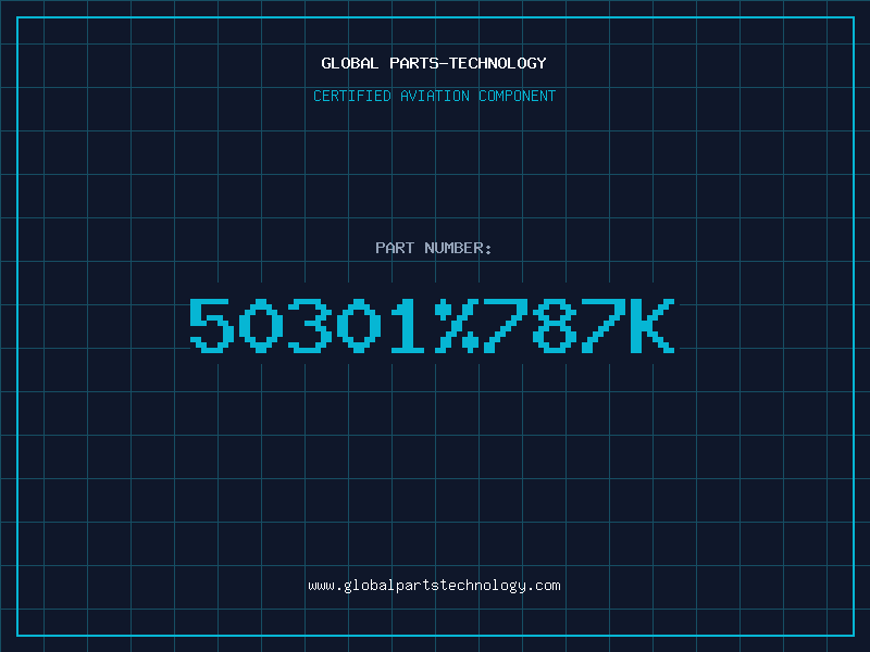 Aviation Part 50301%787K