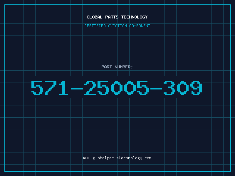 Aviation Part 571-25005-309