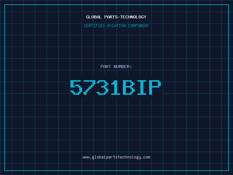 Aviation Part 5731BIP