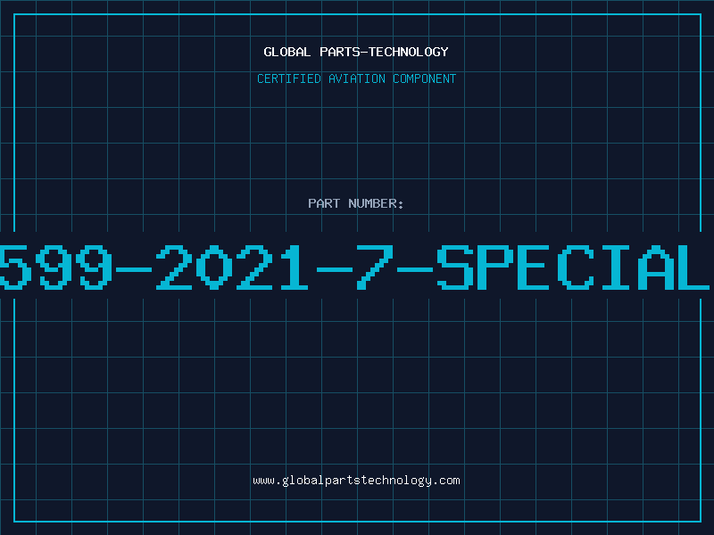 Aviation Part 599-2021-7-SPECIAL