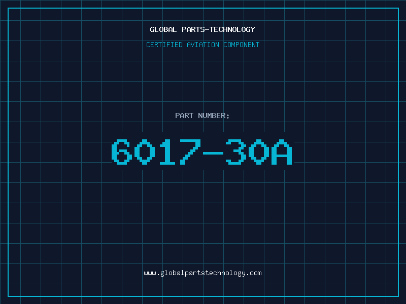 Aviation Part 6017-30A
