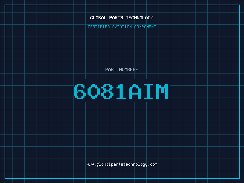 Aviation Part 6081AIM