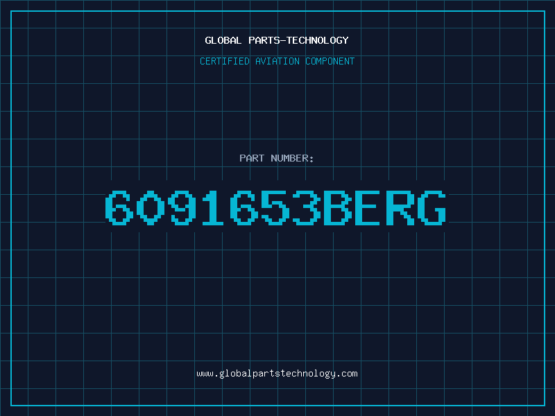 Aviation Part 6091653BERG
