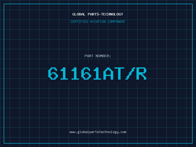 Aviation Part 61161AT/R