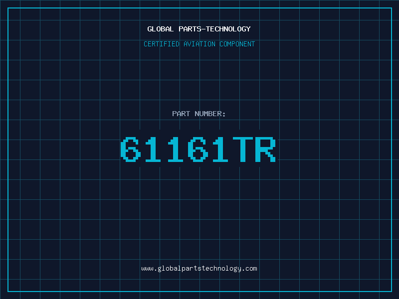 Aviation Part 61161TR