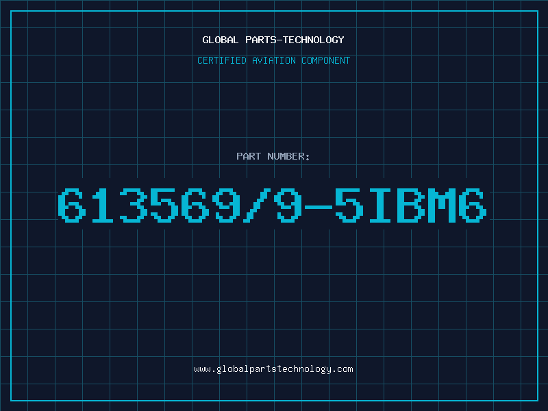 Aviation Part 613569/9-5IBM6
