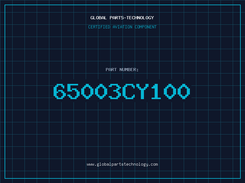 Aviation Part 65003CY100